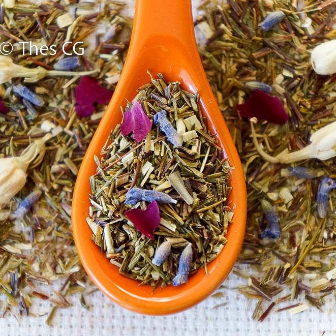 ROOIBOS VERT RHUBARBE - THES CG